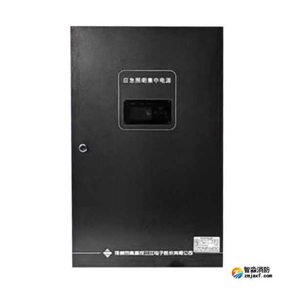 海灣SJ-D-0.6KVA/P601AC應(yīng)急照明集中電源 4回路 壁掛式